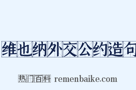 维也纳外交公约造句是什么意思的图片